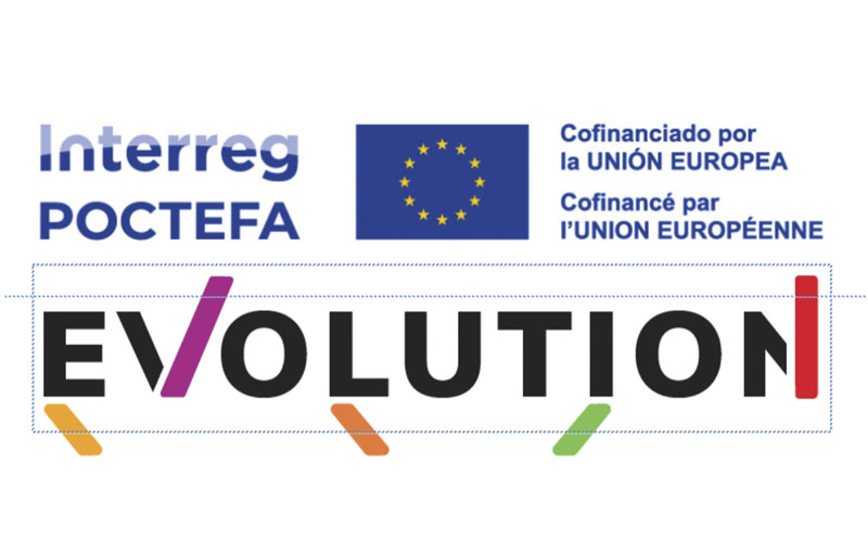 Evolution project