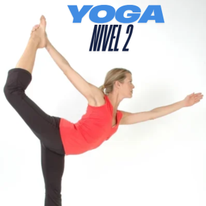 Gestión del estrés con Yoga - Nivel 2